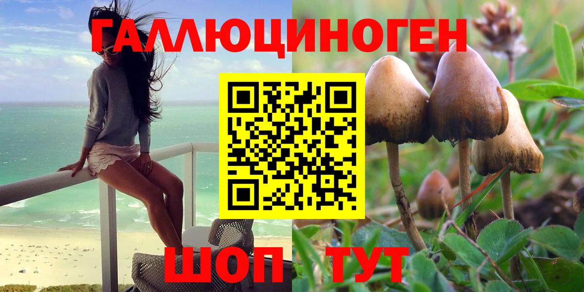 Псилоцибиновые грибы прущие грибы Казань