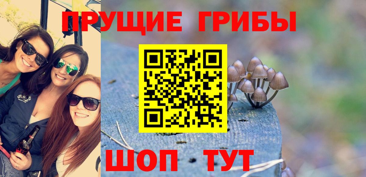Казань  где купить наркоту  Вход с VPN  Псилоцибиновые грибы Psilocybe 